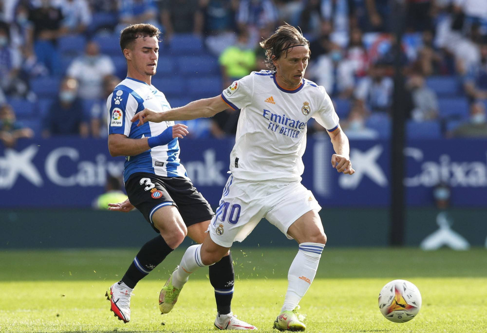 教练领域 教练领域